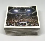 1997 Panini WWF Superstars stickers lot Undertaker Steve Austin