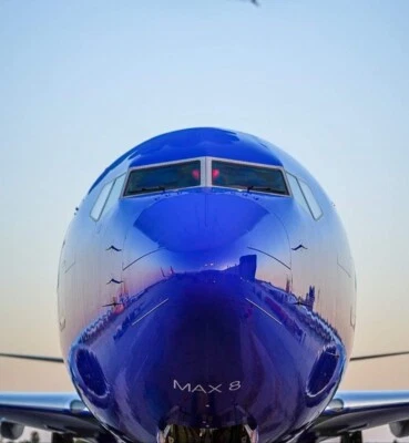 NEW GEMINI JETS 1:200 scale SOUTHWEST AIRLINES BOEING 737 MAX 8 G2SWA1008 N8730Q