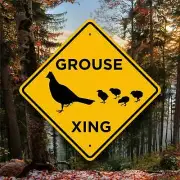 Grouse Crossing Sign - Aluminum Highway Style Placard - Wildfowl - Cabin Decor