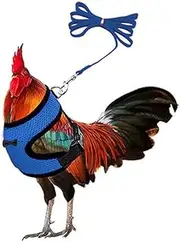 Chicken Harness Hen Matching Belt，Comfortable Breathable Suitable Chicken Duck Goose Suitable (Blue, Medium)