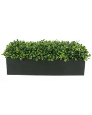 Creative Displays Boxwood Greenery Display
