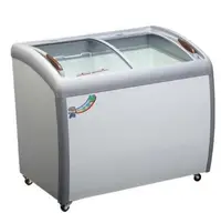在飛比找Yahoo!奇摩拍賣優惠-弧型玻璃冷凍櫃 一路領鮮 4尺2 XS-360YX 冰櫃 展
