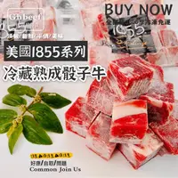 在飛比找ihergo愛合購優惠-免運!【津豪】10包 1855冷藏熟成骰子牛 200g