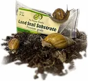 Premium Land Snail Substrate - The Perfect Bedding for Your Pet Snail | Weight 7 Oz or 200 Grams