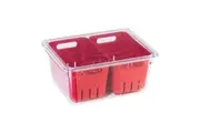 Oggi StoreFresh 22cm Double Fruit Berry Bin Storage Basket Fridge Organiser Red