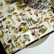 Doraking DIY Translucent Sulfuric Paper Scrapbook Decoration Stickers for Diary Bullet Journals Decoration Without Repeats (Mushroom Illustration)
