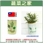 【蔬菜之家】IPLANT易開罐花卉-迷迭香(最新發明專利設計)