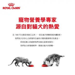 ROYAL CANIN 法國皇家 貓用 RSF26 腎臟嗜口性配方 2KG/4KG 處方 貓處方 貓食品 貓飼料
