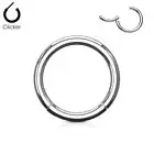 1 Pc High Quality Precision Hinged Segment Hoop Rings Tragus Daith Eyebrow