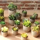 Home Decor Bonsai Fake Flowers Succulents Artificial Plants Floral Craft