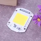 50W LEDs Floodlights COB Chip 220V Input Integrated Smart IC Drivers