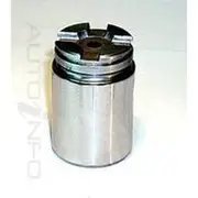 Protex Caliper Piston - 090P0242
