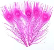 25-30Cm/10-12Inch Colorful Peacock Feathers Blue 20PCS Plumes for Crafts Jewelry Making Decoration Headwer,Hat Rose red 20pcs