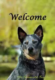 Australian Cattle Dog Close Encounters of the Furry Kind Welcome Flag
