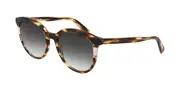 Longchamp LO752S 211 Men's Sunglasses Brown Size 55