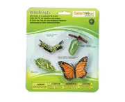 Safari Ltd Life Cycle of a Monarch Butterfly