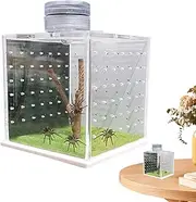Jumping Spider Enclosure, Transparent Frog Enclosure, Small Praying Mantis Habitat Terrarium, Breeding Box with Light Humidifier for Jumping Spider Small Tree Dwelling Reptiles
