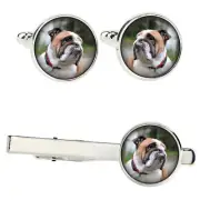 English Bulldog set of clips in a box with a picture Art-Dog