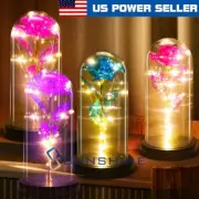 Galaxy Light Up Rose Gift for Mom Enchanted Crystal Rose in Glass Dome For Her