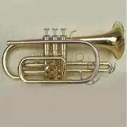 Funion Cornet Kit B Flat Key Water Keys Bb Gold Lacquer Silver Plated Case New