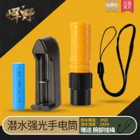 在飛比找樂天市場購物網優惠-潛水手電筒防水強光戶外登山騎行水下專業戶外充電迷你小超亮le