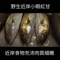 在飛比找蝦皮購物優惠-【澎湖直送】野生紅甘魚切片 新鮮魚貨乾淨處理產地直送 600