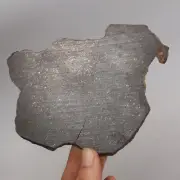 80g Chondrite Meteorite Slice,NWA unclassified Meteorite, From Northwest AB97
