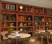 3D Library Bookshelf Wallpaper Wall Mural Removable Self-adhesive 1064
