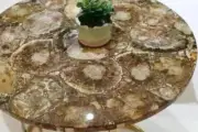 48" Round Brown Petrified Stone Coffee Table Top Luxurious Farmhouse Furniture