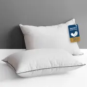 Goose Feather Down Core Pillow Surrounded by Polyester 2 Pack, 100% Organic C...