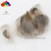 100 PCS Pheasant Duck pattern Feathers 3-5cm plumeage Crafts jewelry Decoration