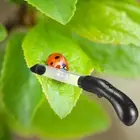 Powerful Bug Catcher Bug for Bedbug Stink Bug