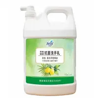 在飛比找Yahoo!奇摩拍賣優惠-花仙子 茶樹檸檬抗菌洗手乳 3.8公升  3組 W32698