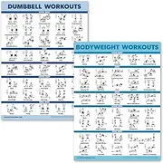 2 Pack Dumbbell Workouts and Bodyweight Exercise Poster Set - Laminated 2 Chart Set - Dumbbell Exercise Routine & Body Weight Workouts [LIGHT] (LAMINATED, 18” x 24”)