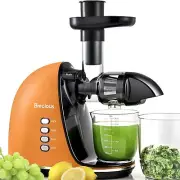 Slow Masticating Juicer,Cold Press Juicer with 2 Speed Modes & Quiet Motor,Ju...