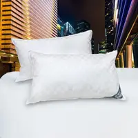 在飛比找PChome24h購物優惠-【皮斯佐丹】飯店專用緹花羽絨枕(2顆)