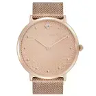 Olivia Burton Ionic Carnation Gold Dial Women's Watch 24000025