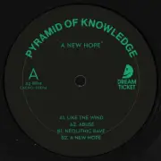 Pyramid Of Knowledge - A New Hope (12")