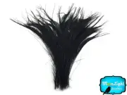 50 Pieces - BLACK Bleached Peacock Swords Cut Wholesale Feathers (bulk)