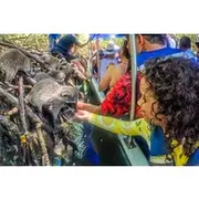 Save 20.00%! Magical Full-Day Tour Through The Mangroves And The Beach In Isla de Barú
