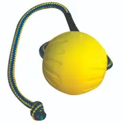 Starmark Swing and Fling Durafoam Fetch Ball Medium 6cm