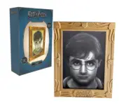 Harry Potter Night Light Mood Lamp | Picture Comes to Life & Eyes Follow You !