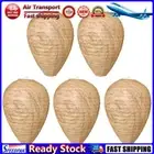 LF# Wasp Nest Decoy Hornet Fake Wasp Nest Waterproof Drive Beehive Lantern (5Pcs