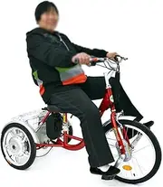 DEFGHIJ Adult Tricycles with Steel Frame 3 Wheel Bikes Cruise Bike with Large Size Basket for Recreation Shopping Exercise Men's Women's Bike Red(Red)