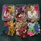 1 Box Mixed Dried Flowers Candle Epoxy Resin Jewelry Making Floral Art Craft DIY