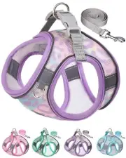 No Pull Cat Leash Set - Step in Harness for Puppy to Small Dogs - Purple, XXS