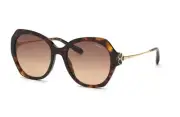 Chopard SCH354V brown yellow havana Brown/yellow Havana 0743 0743 Sunglasses