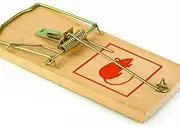 TooToo Wooden Mouse Mice Rat Trap Reusable Rodent Traps 17.5cm x 8cm Value Set (1)