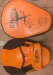 Gingpal Sparring Glove,Pads Boxing.MMA ,KICK BOXING.