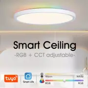 Ceiling lamps Led ceiling light Modern APP Voice Control Smart lamp Led lights